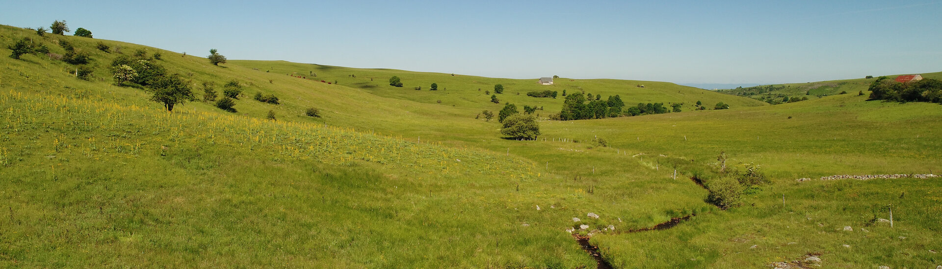 Liste des dépositaires dans le cantal