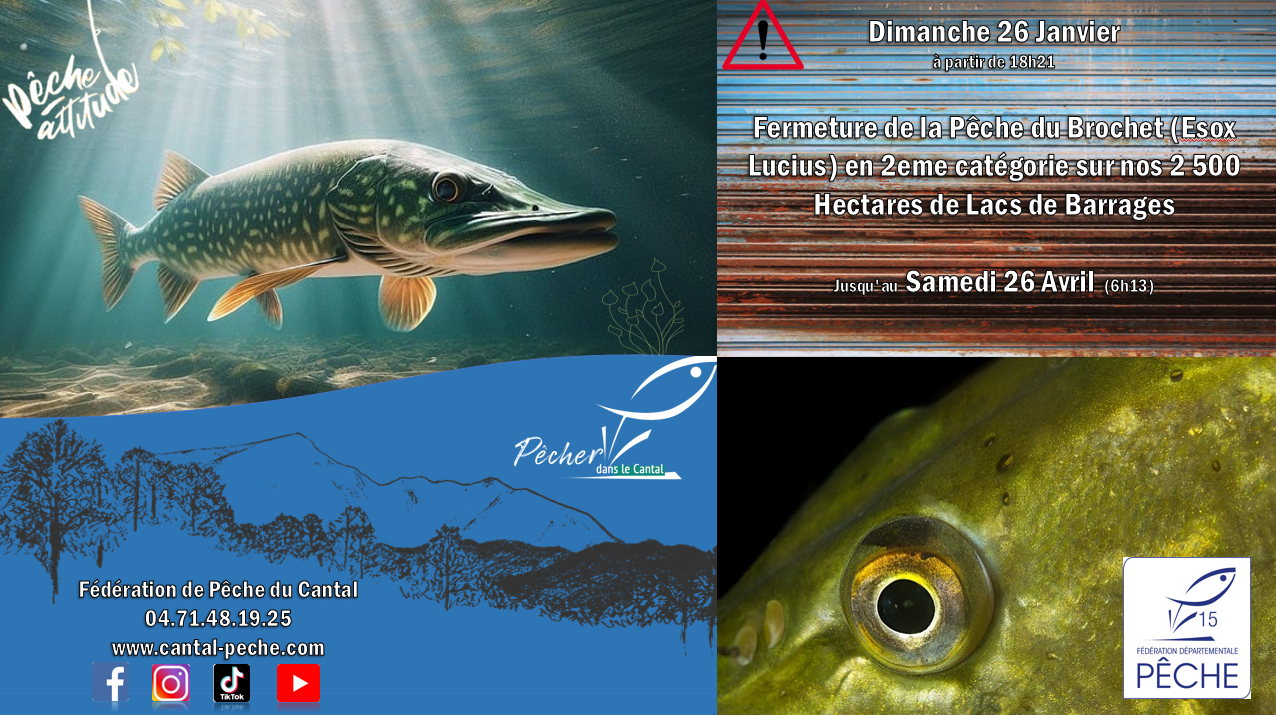 2 : Évolution De La Pêche De Capture Et De L'aquaculture Dans La Production Mondiale De Fig2 357145810