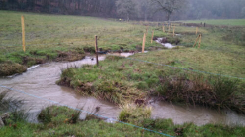 Restauration du ruisseau de Branugues 3ème tranche