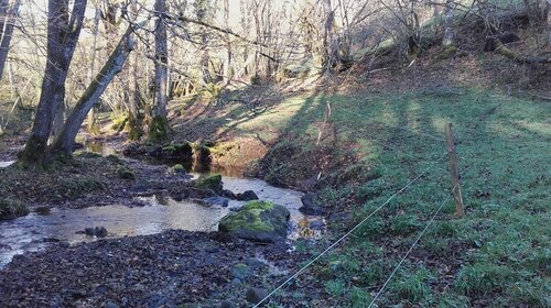 Diversification des habitats sur le Monzola