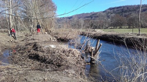 Entretien sélectif et nettoyage de berges de l’Alagnon