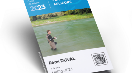 Carte Personne Majeure