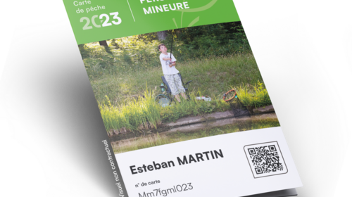 Carte Personne Mineure