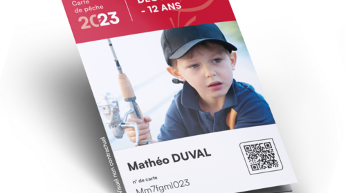 Carte Découverte - 12 ans