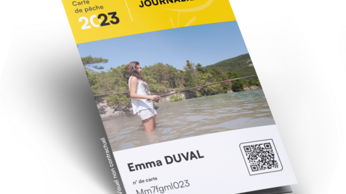 Carte Journalière