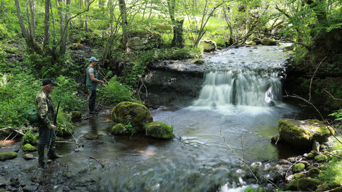 Réseau Perenne de suivi des peuplements piscicoles du cantal 2022