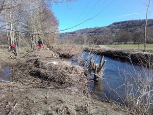 Entretien sélectif et nettoyage de berges de l’Alagnon