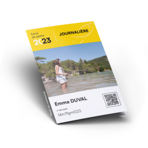 Carte Journalière