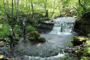 Réseau Perenne de suivi des peuplements piscicoles du cantal 2022